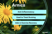 arnica for wound healing and dry skin for massage oil natural herbal remedy and sports recovery medicine